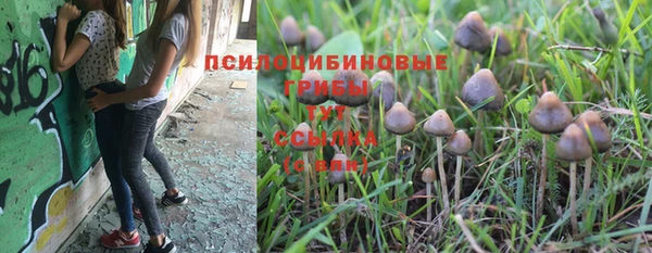 кокс Армянск