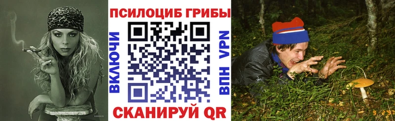Галлюциногенные грибы Psilocybine cubensis  Ленинск-Кузнецкий 